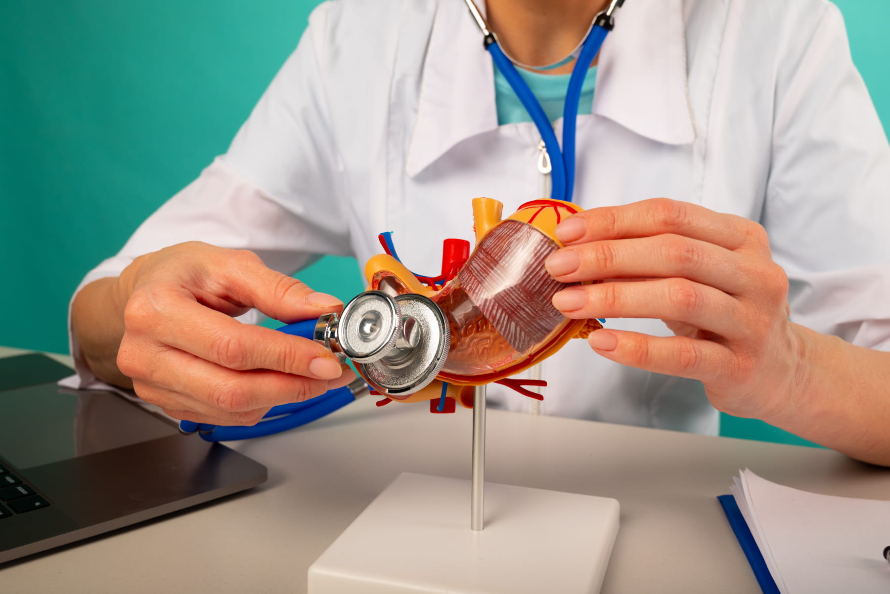 Heart valve care in Istanbul