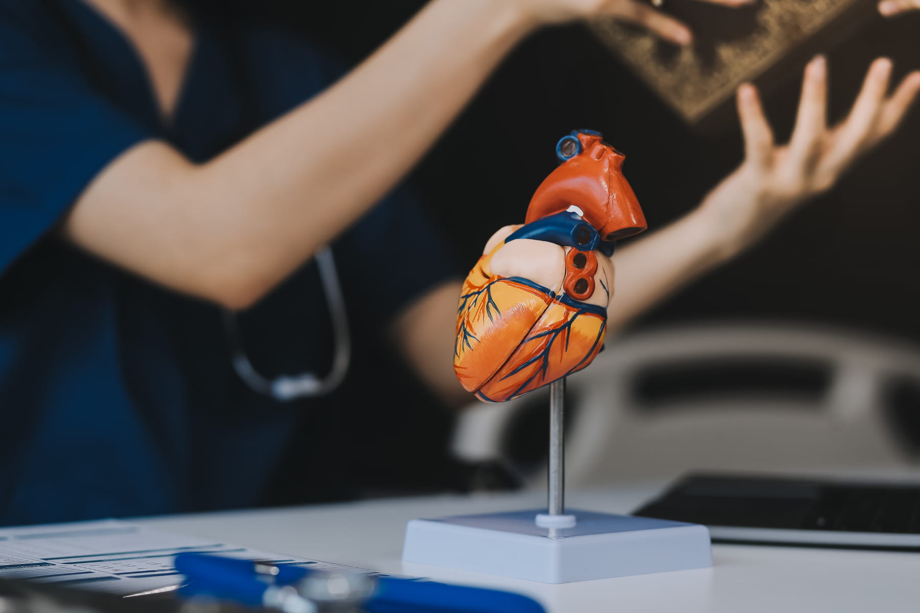 Cardiovascular surgery coordination in Turkey